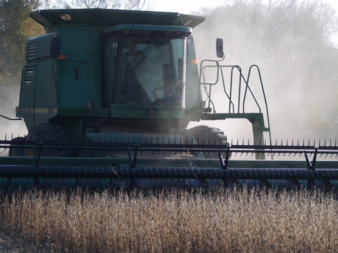 soybean harvest soybeans