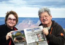 Vacation with Us: Keenes at the Grand Canyon