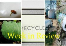 Farm and Dairy’s week in review: 1/3 Week in Review 1/3