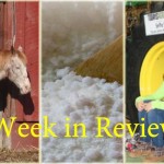 Farm and Dairy’s week in review: 1/24 Week in Review 1/24