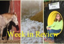 Farm and Dairy’s week in review: 1/24 Week in Review 1/24