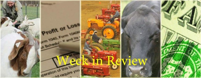 Week in Review 1.31 Week in Review 1.31