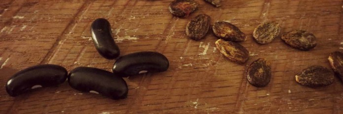 beans and watermelon seeds beans and watermelon seeds