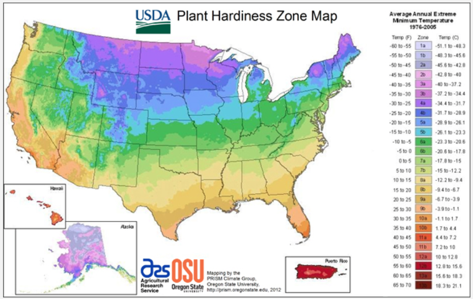 USDA hardiness zone