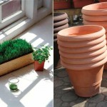 How to start a container garden container gardening