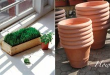 How to start a container garden container gardening