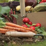 How to understand USDA hardiness zones garden