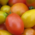 How to manage a profitable market garden heirloom tomatoes