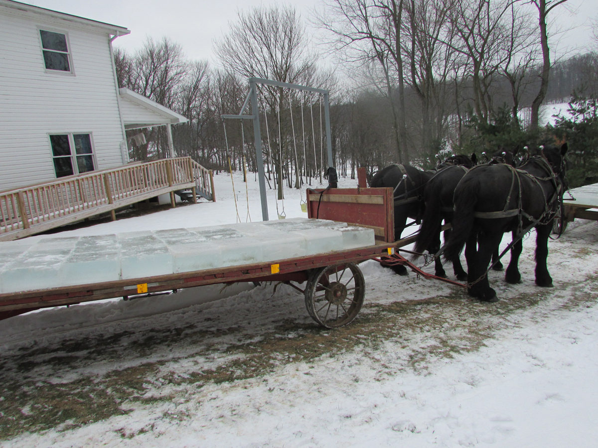 Meet the ice breakers: Amish ice-cutting frolic