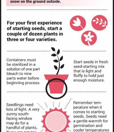 starting seeds indoors starting seeds indoors