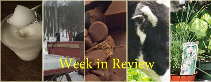Week in Review 2.14 Week in Review 2.14