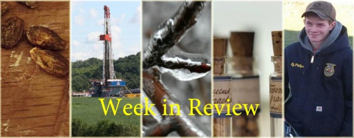 Week in Review 2/28 Week in Review 2/28