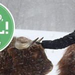 Judy Ligo: ‘I had to prove I knew what I was doing’