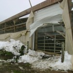Barn Collapse 8