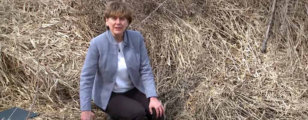 Water storage project to advance new practices Jane Frankenberger of Purdue