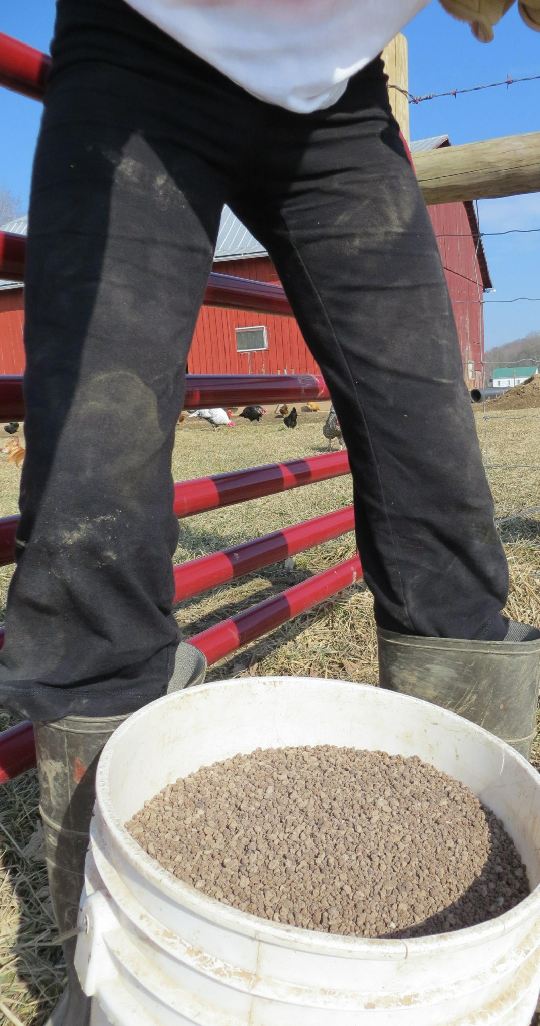 How to prepare garden soil for spring planting Farm and Dairy