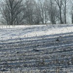 Keep farm nutrients in place