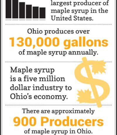 Ohio maple syrup infographic Ohio maple syrup infographic