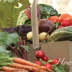 How to eat seasonally this spring basket of vegetables