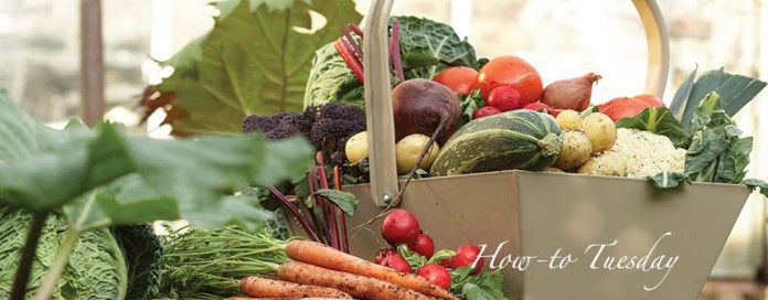 basket of vegetables