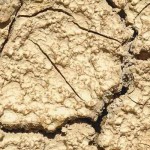 California drought is fueling battle between farmers dry soil