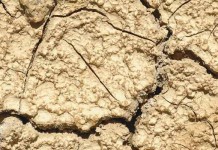 Drought prompts northern California farmers to sell water instead of plant crops dry soil