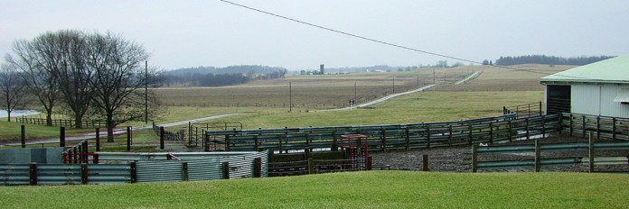 farm landscape