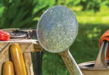 Tech meets the garden: 4 products for your growing season garden tools