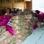 Donations to Kentucky