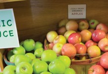 Funding, experts available to help farmers transition to organic organic apples