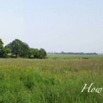 How to safely burn pasture: 5 tips pasture