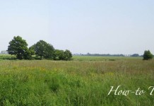 How to safely burn pasture: 5 tips pasture