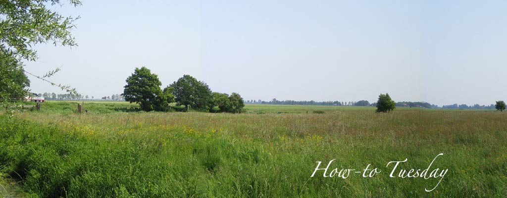 How to safely burn pasture: 5 tips pasture