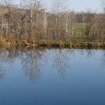 Moisture and compaction key to well-built pond