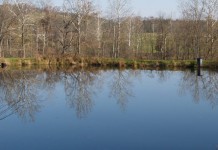 Moisture and compaction key to well-built pond