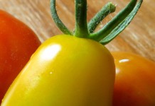 Homestead heroes: best fruits and vegetables for self-sufficiency tomatoes