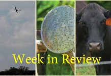 Farm and Dairy’s week in review: 3/21 Week in Review 3/21