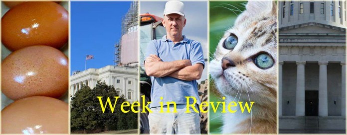 Week in Review 3/28 Week in Review 3/28