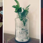 5 DIY bath and beauty products DIY bath and beauty products