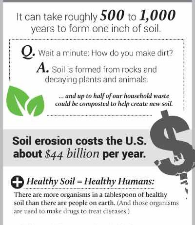 International Year of the Soils International Year of the Soils