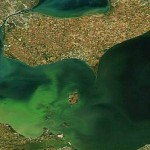 Heavy rains could lead to near-record algal bloom Algal bloom