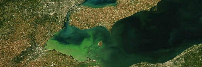 Algal bloom