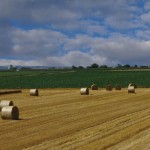 Five weather apps for your mobile device hay field