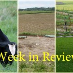 Farm and Dairy’s week in review: 4/11 Week in Review 4/11