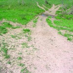 Electric fencing can be a great grazing management tool for farmers pasture