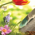 May’s gardening to-do list May gardening