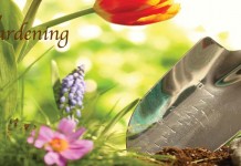 May’s gardening to-do list May gardening