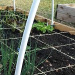 How to plant a square foot garden square foot garden