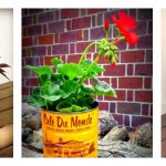 How to grow a container garden: 10 tips container garden collage