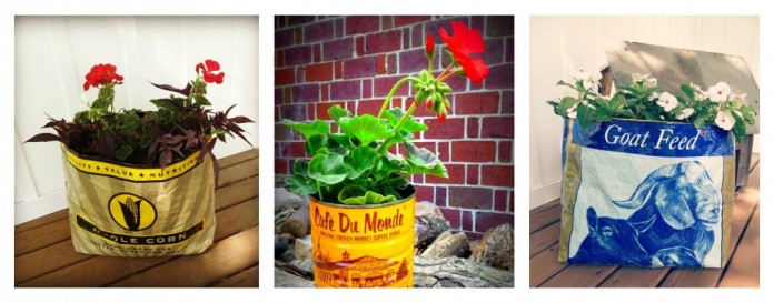 container garden collage container garden collage